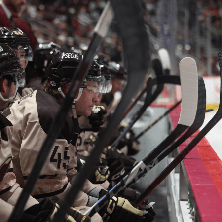 Bears look on during defeat